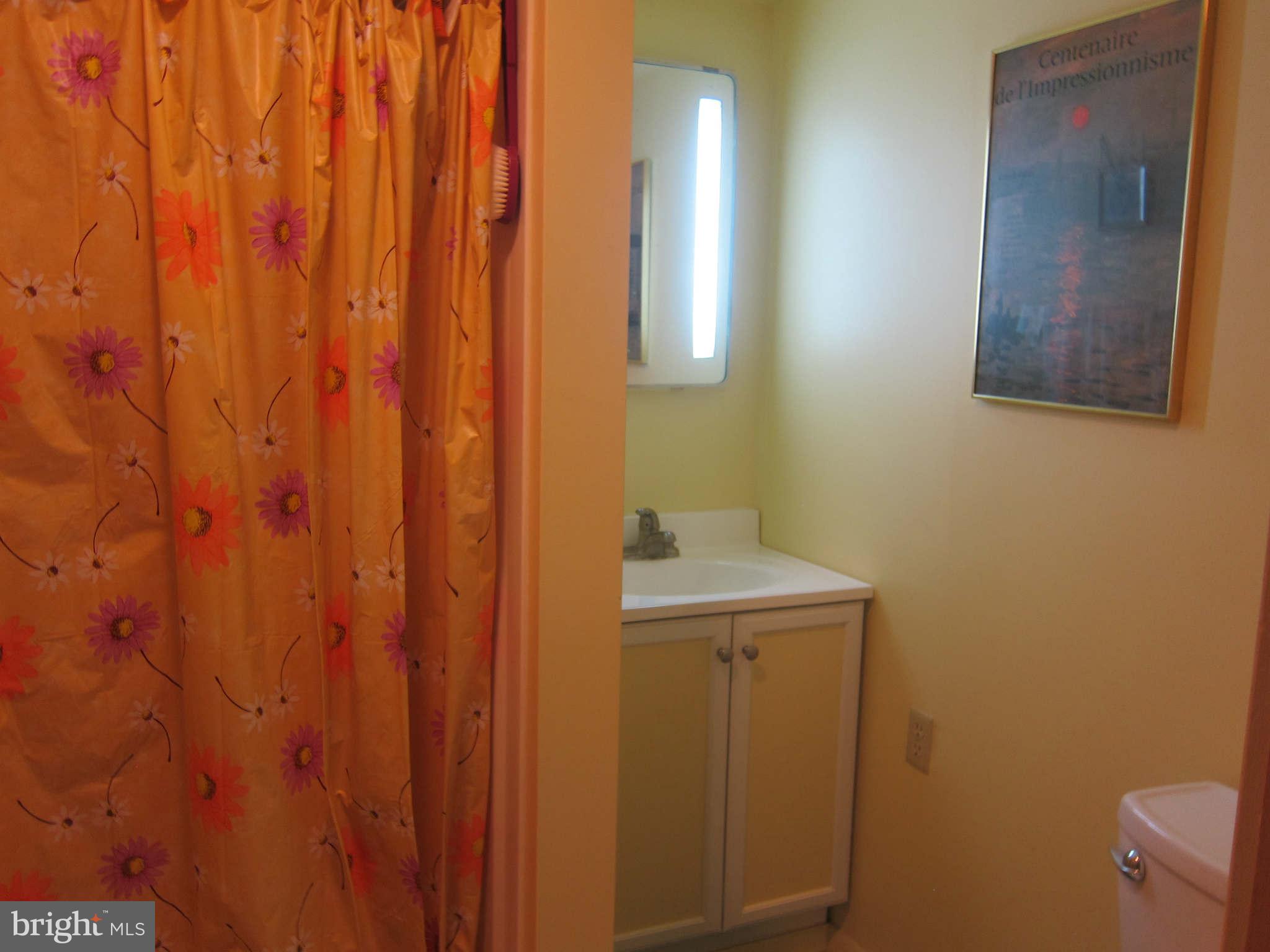 8402 Winands Road Baltimore, MD 21208 - Photo 14 of 20 Full Bath