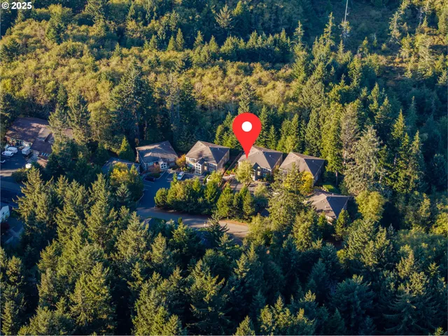 a view of a tree with a tree