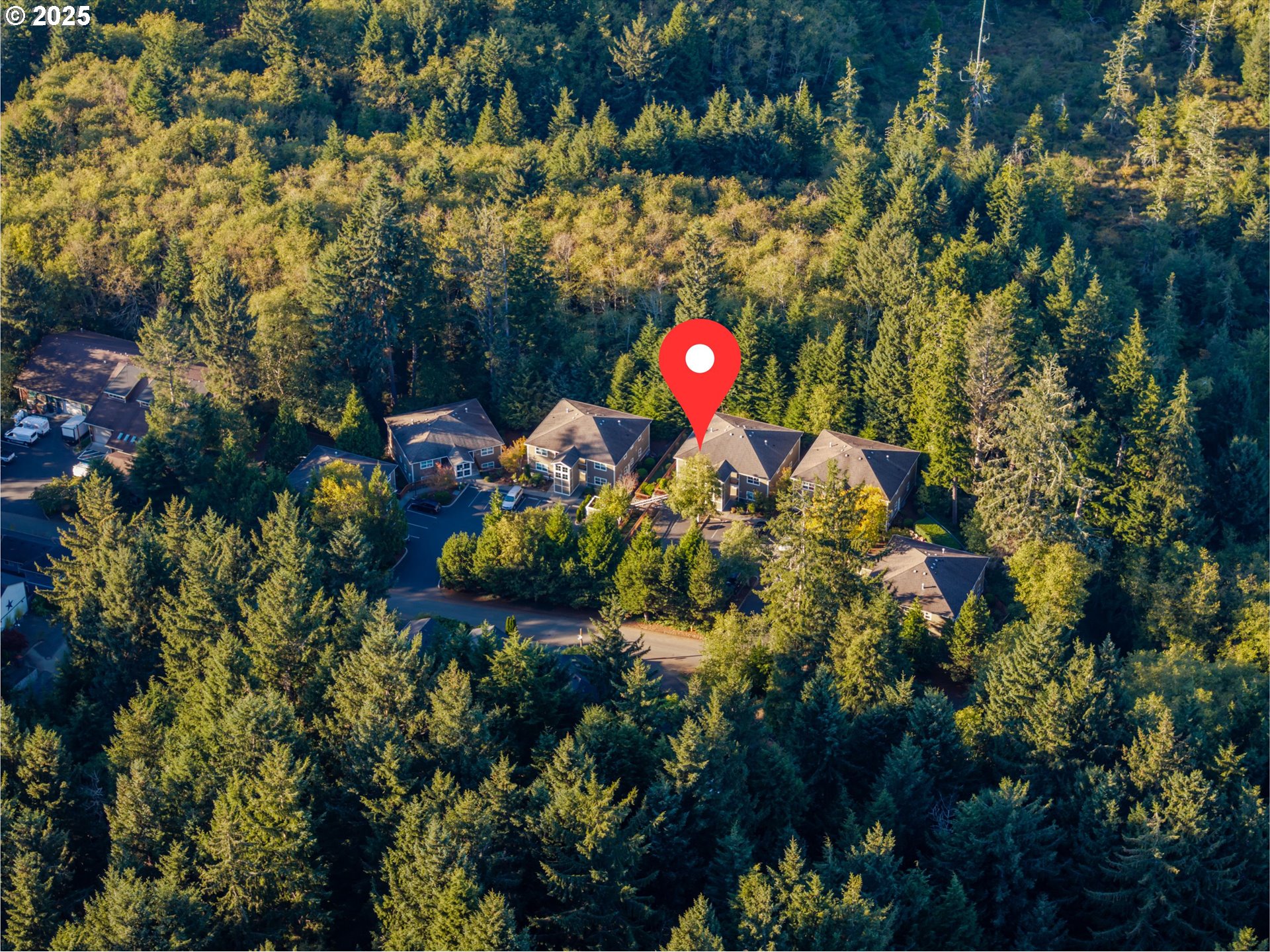 420 Elk Creek Road, Unit 401 Cannon Beach, OR 97110 - Photo 9 of 31 a view of a tree with a tree