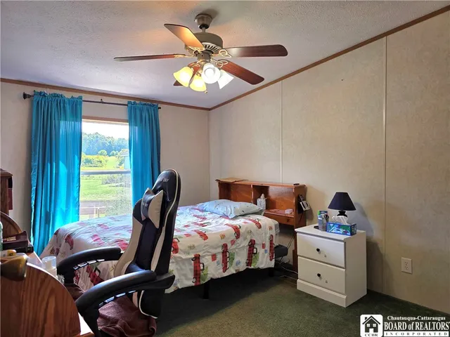 $250,000 | 10687 Carris Road, Ripley, NY 14775