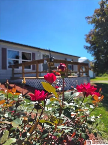 $250,000 | 10687 Carris Road, Ripley, NY 14775