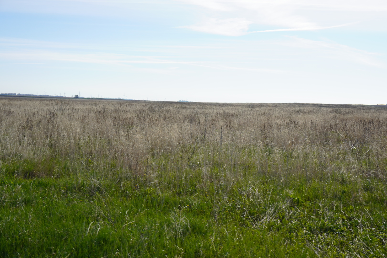 102 Acres /- East 1900 North Road Cullom, IL 60929 - Photo 6 of 16