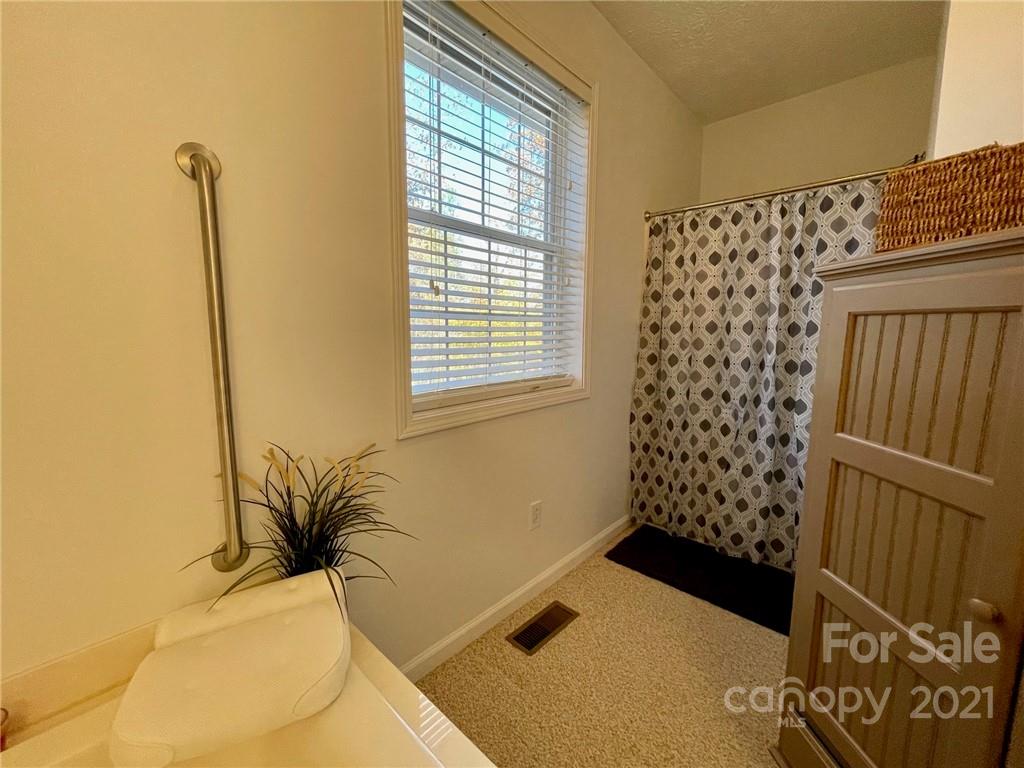 85 Moore Road Tryon, NC 28782 - Photo 12 of 20 a bath room with a window and a potted plant