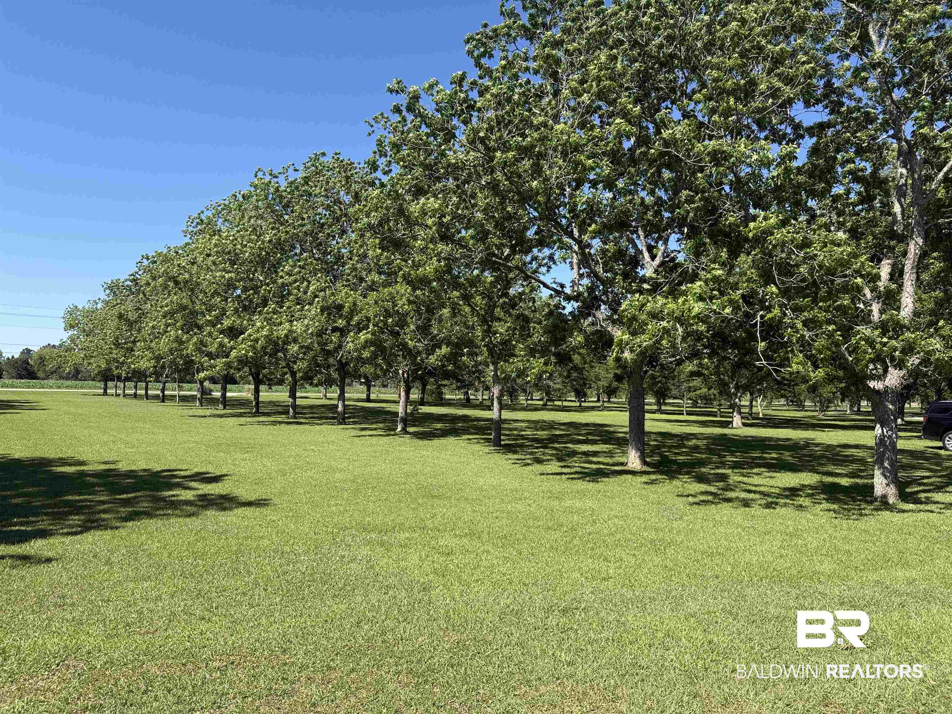 9090 Pleasant Road Daphne, AL 36526 - Photo 23 of 24