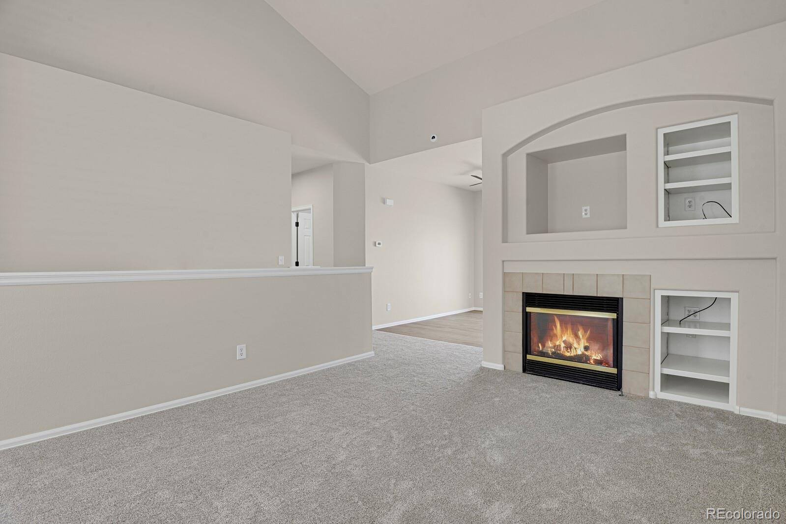 407 Grey Swallow Street Brighton, CO 80601 - Photo 6 of 27