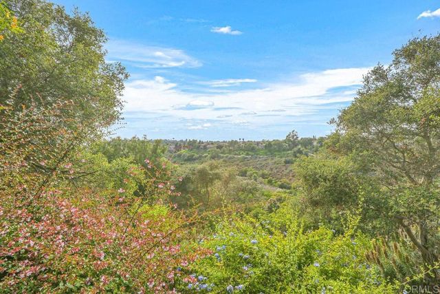 a view of a field with an ocean