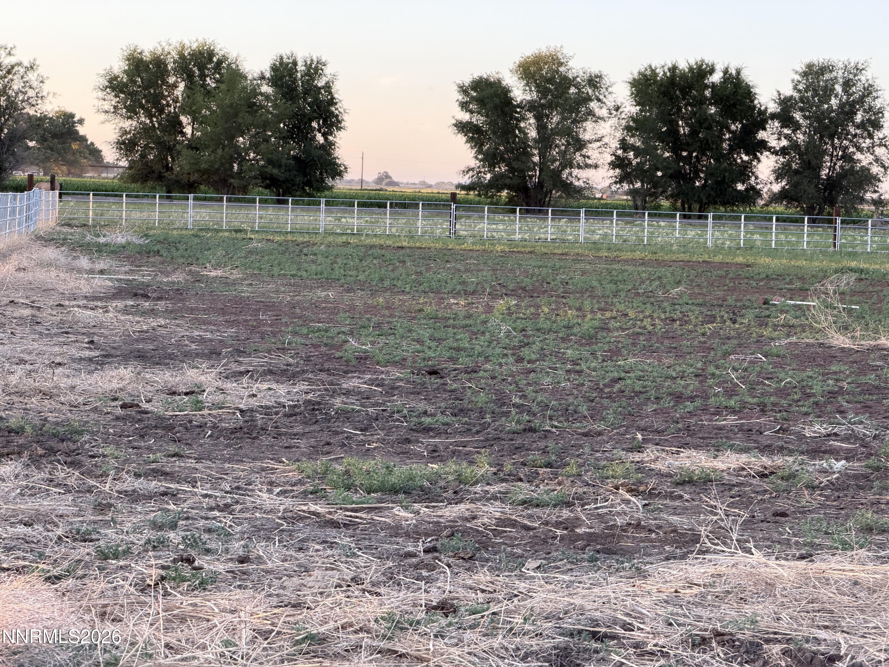 2025 Cushman Road Fallon, NV 89406 - Photo 51 of 53 a view of outdoor space with green field and trees