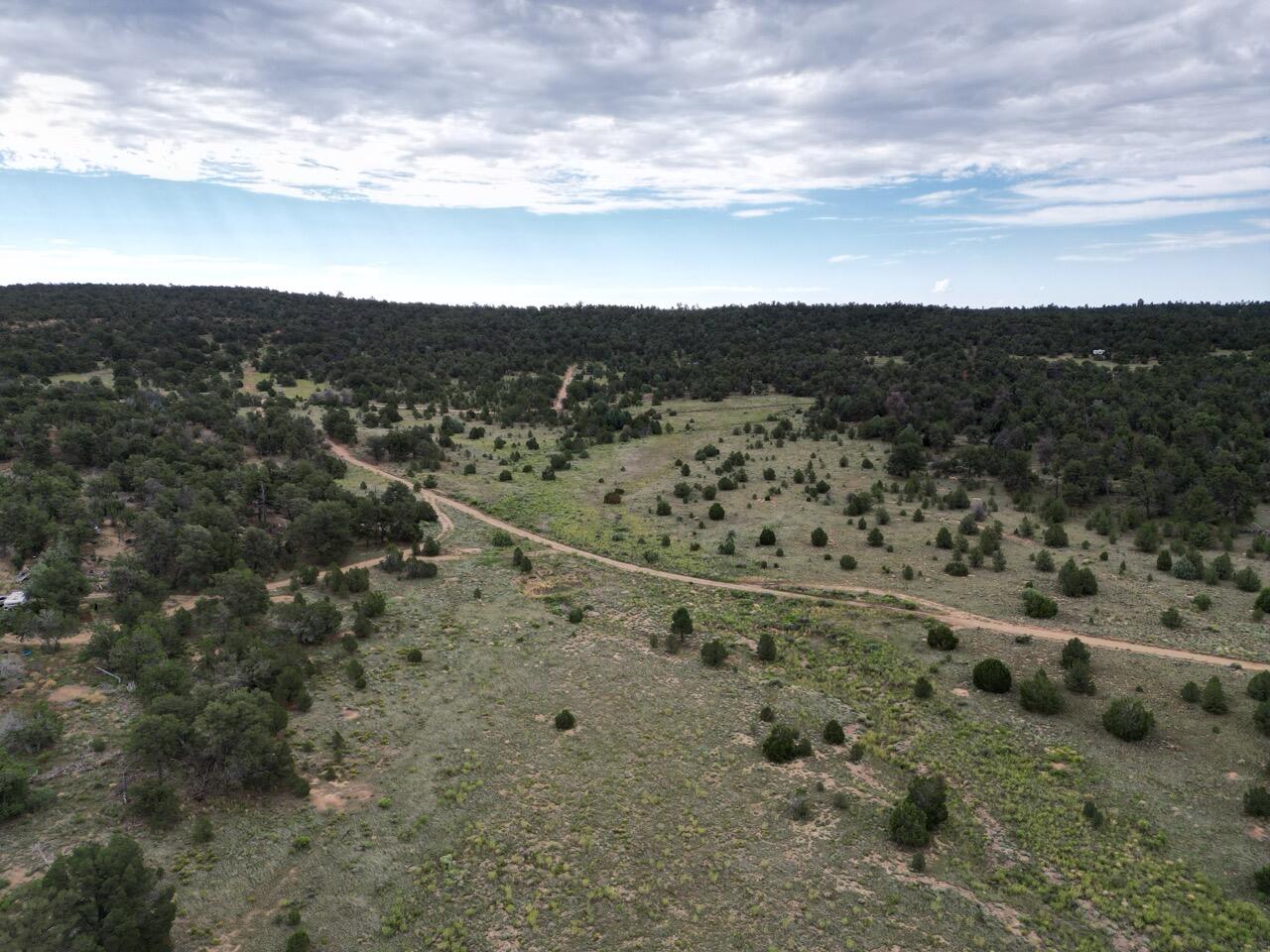 Lot 14 Candy Kitchen Road Ramah, NM 87357 - Photo 1 of 41 Gallery Image 1