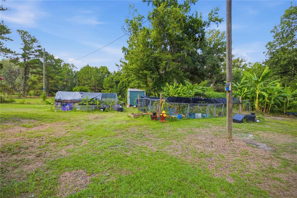17900 Northwest 120th Avenue Road Reddick, FL 32686 - Photo 24 of 45 a view of a house with backyard