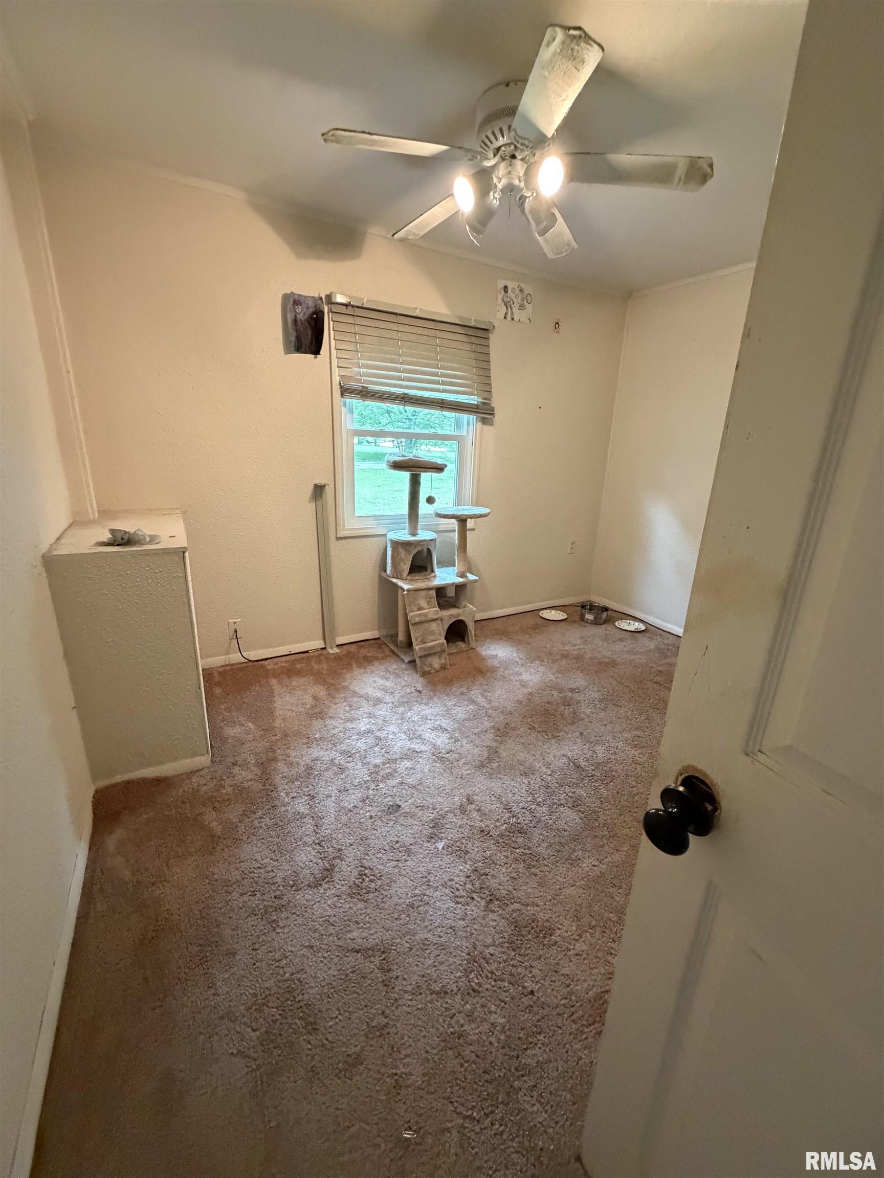 616 East Hays Avenue Decatur, IL 62526 - Photo 6 of 15