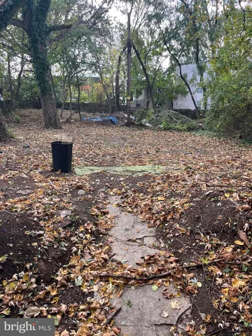 a view of a trees with a yard