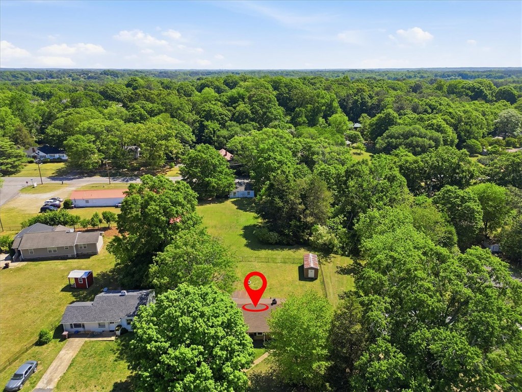 307 South Elm Street Pendleton, SC 29670 - Photo 40 of 41 This verdant landscape showcases a charming residence nestled amidst a canopy of mature trees.