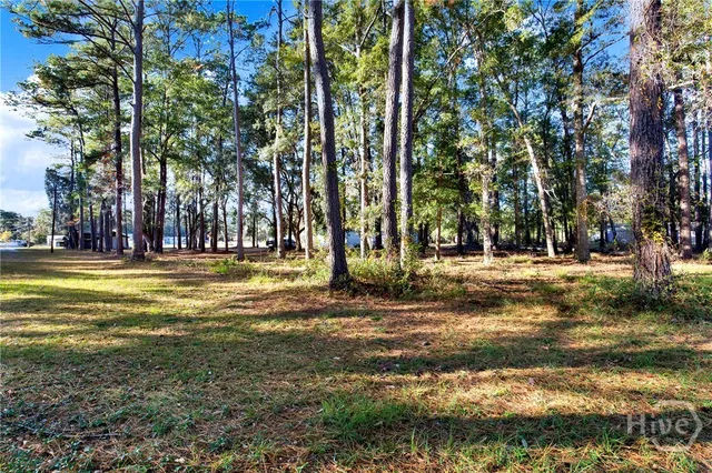 $530,000 | 176 7th Street, Bloomingdale, GA 31302