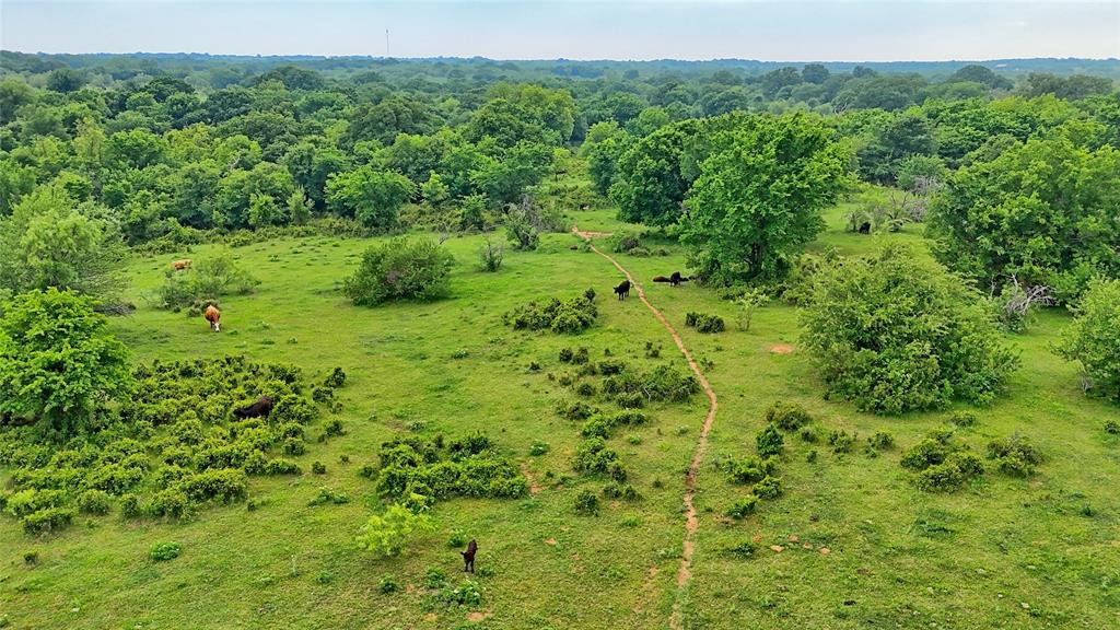 Tbd Tbd Cardwell Road Nocona, TX 76255 - Photo 5 of 30