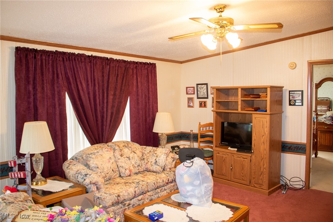 61691 Wintergreen Road Lore City, OH 43755 - Photo 12 of 50 Living area featuring crown molding, ceiling fan, a textured ceiling, and carpet flooring