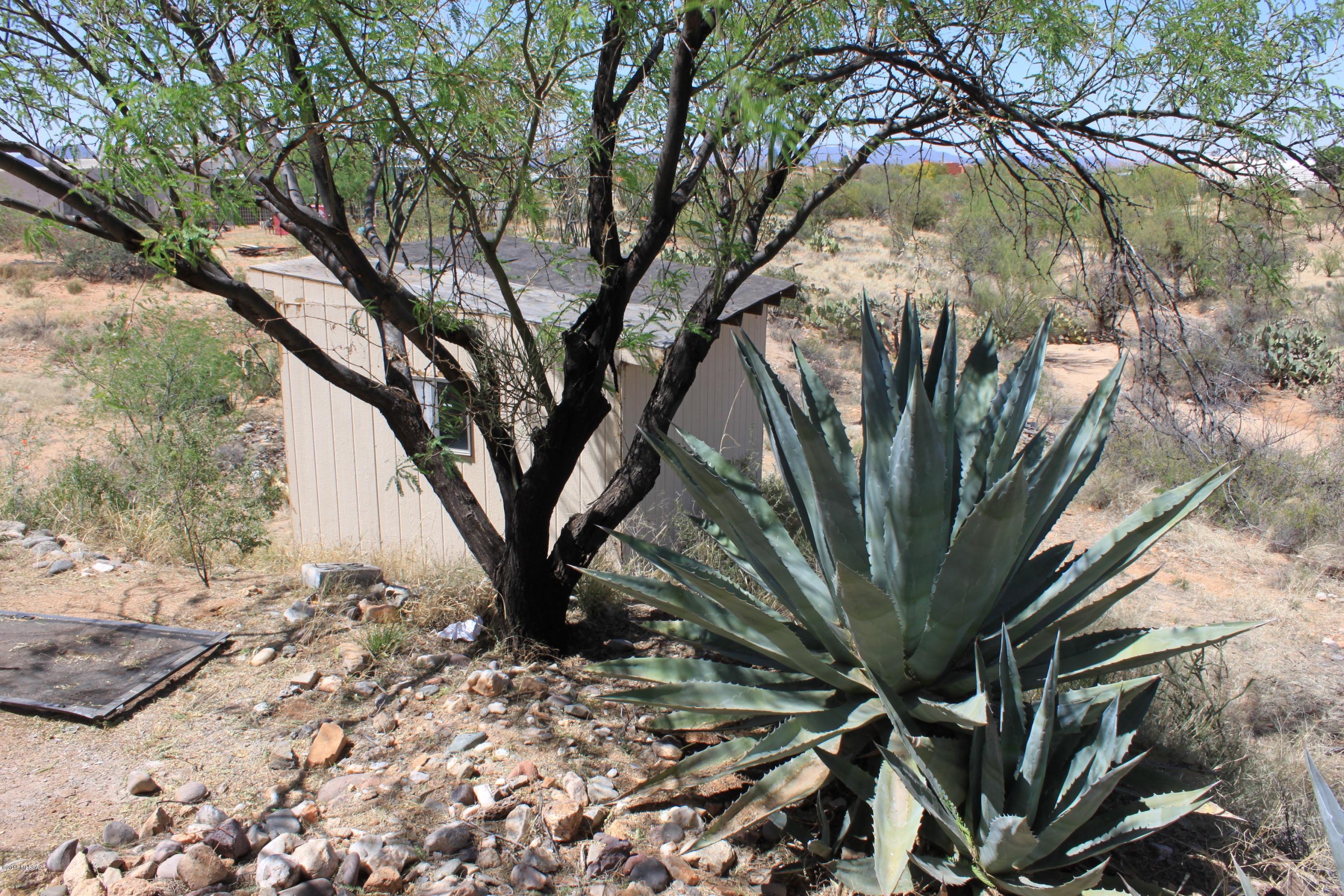 15964 West Ravinia Avenue Tucson, AZ 85736 - Photo 39 of 40 Gallery Image 39