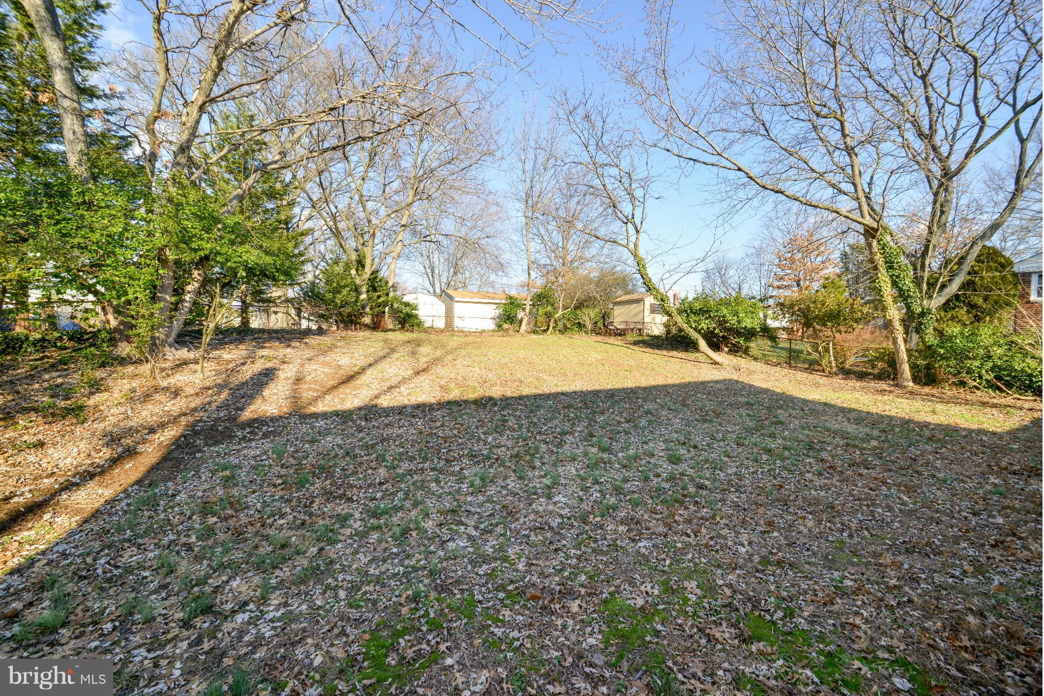 6902 Highland Street Springfield, VA 22150 - Photo 23 of 24 a view of dirt yard with a tree