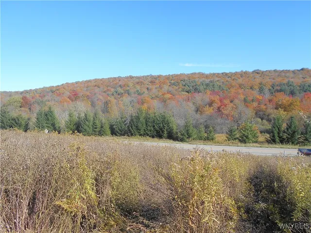 $32,500 | 4738 Roszyk Hill Road, Machias, NY 14101