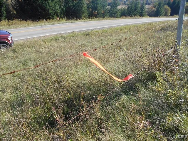 $32,500 | 4738 Roszyk Hill Road, Machias, NY 14101