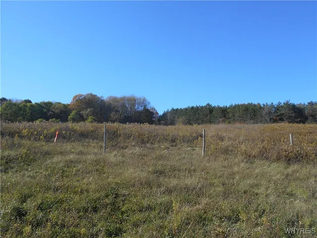 $32,500 | 4738 Roszyk Hill Road, Machias, NY 14101