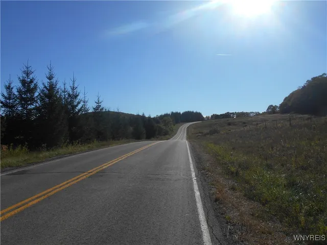 $32,500 | 4738 Roszyk Hill Road, Machias, NY 14101