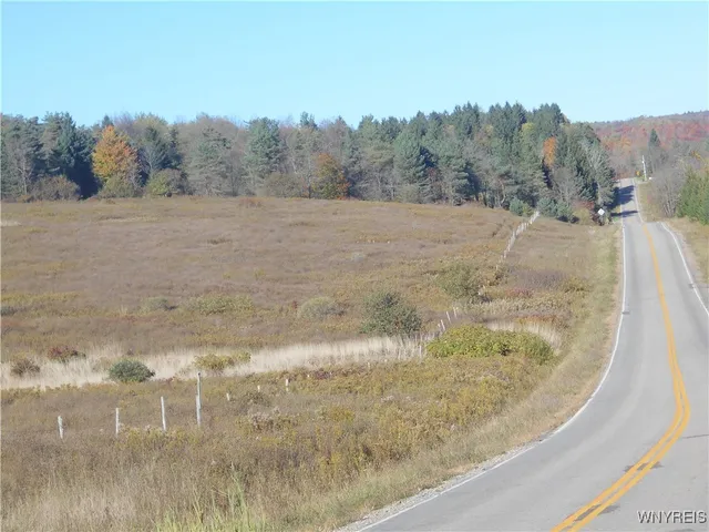 $32,500 | 4738 Roszyk Hill Road, Machias, NY 14101