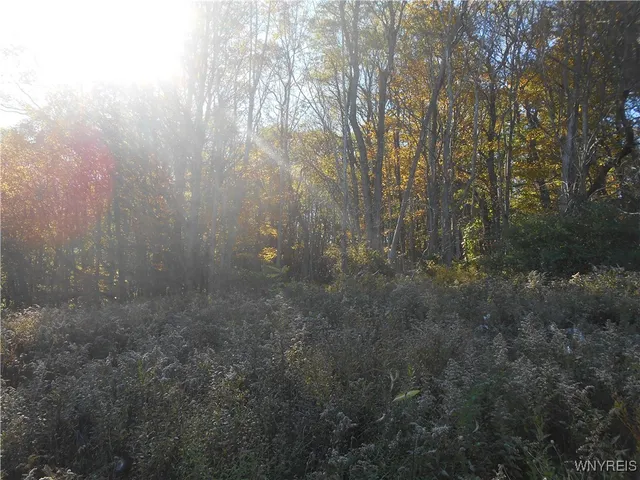 $32,500 | 4738 Roszyk Hill Road, Machias, NY 14101