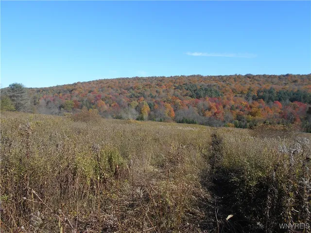 $32,500 | 4738 Roszyk Hill Road, Machias, NY 14101