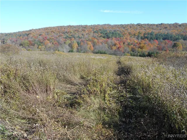 $32,500 | 4738 Roszyk Hill Road, Machias, NY 14101