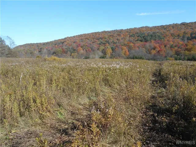 $32,500 | 4738 Roszyk Hill Road, Machias, NY 14101