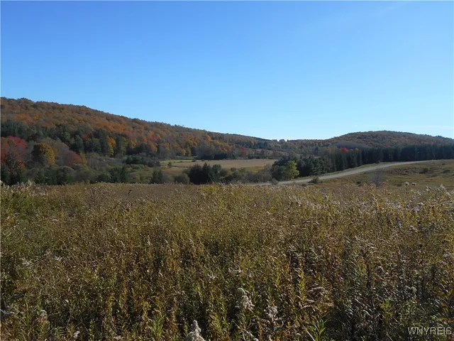 $32,500 | 4738 Roszyk Hill Road, Machias, NY 14101