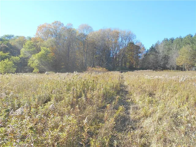 $32,500 | 4738 Roszyk Hill Road, Machias, NY 14101