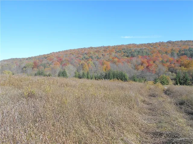 $32,500 | 4738 Roszyk Hill Road, Machias, NY 14101