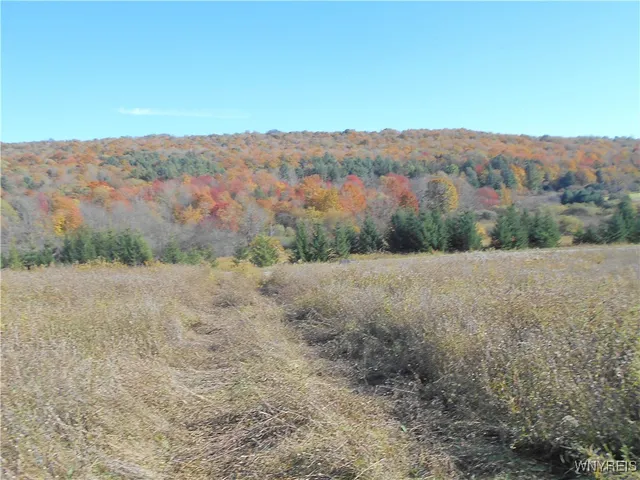 $32,500 | 4738 Roszyk Hill Road, Machias, NY 14101