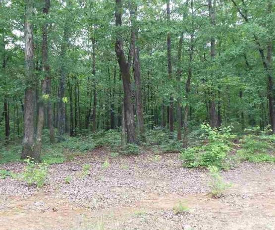 117 Constitution Avenue Pendleton, SC 29670 - Photo 3 of 16
