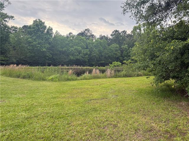 Tbd Halbert Road Amite, LA 70422 - Photo 1 of 7