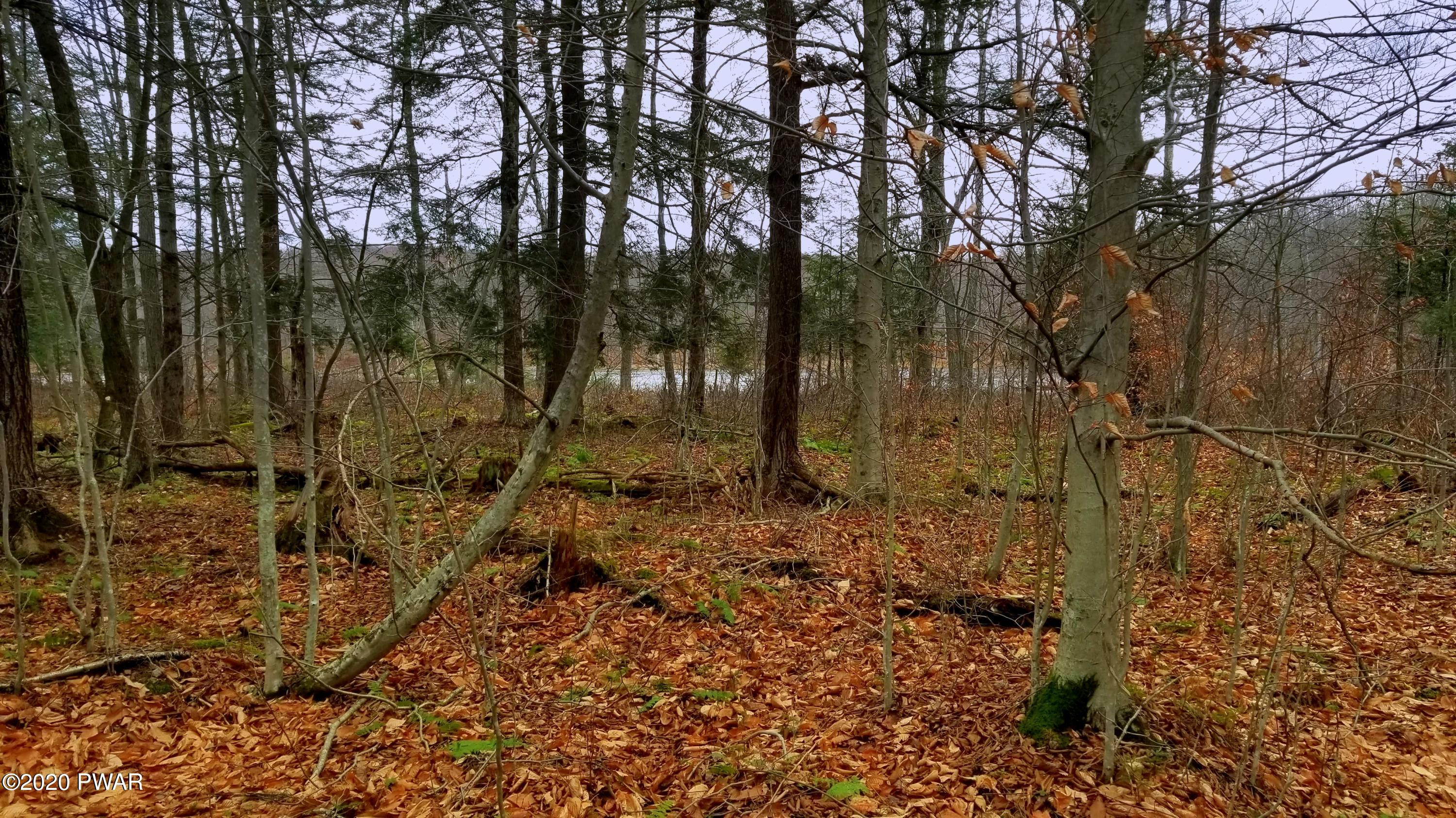 Lot 80 Stonegate Road Equinunk, PA 18417 - Photo 40 of 58