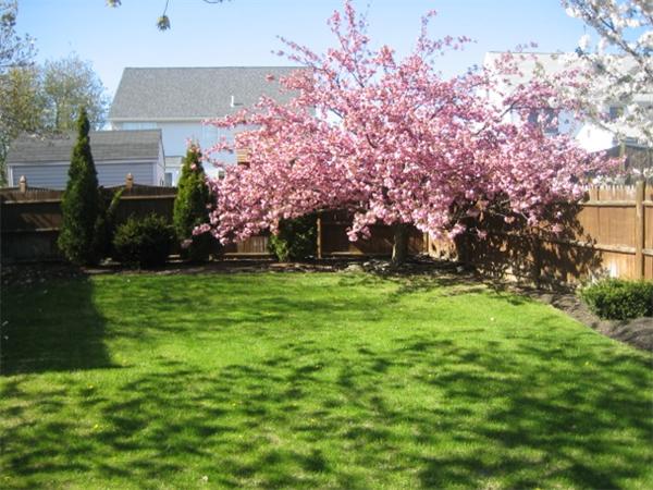 36 Loris Road Peabody, MA 01960 - Photo 17 of 18 Gallery Image 17