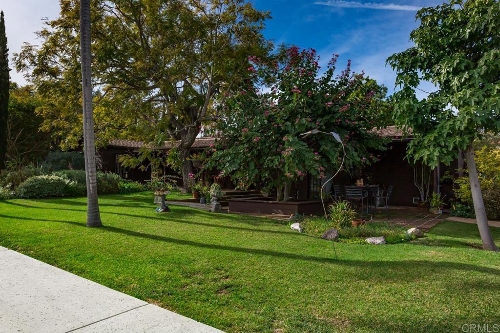 1249 Melba Road Encinitas, CA 92024 - Photo 8 of 47 a view of a park with large trees