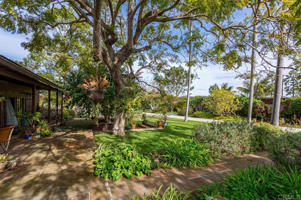 1249 Melba Road Encinitas, CA 92024 - Photo 9 of 47 a backyard of a house with lots of green space