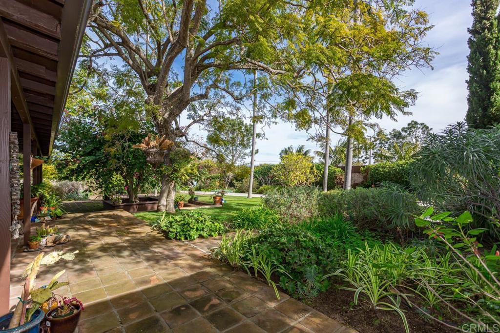 1249 Melba Road Encinitas, CA 92024 - Photo 10 of 47 a view of a yard with plants and trees