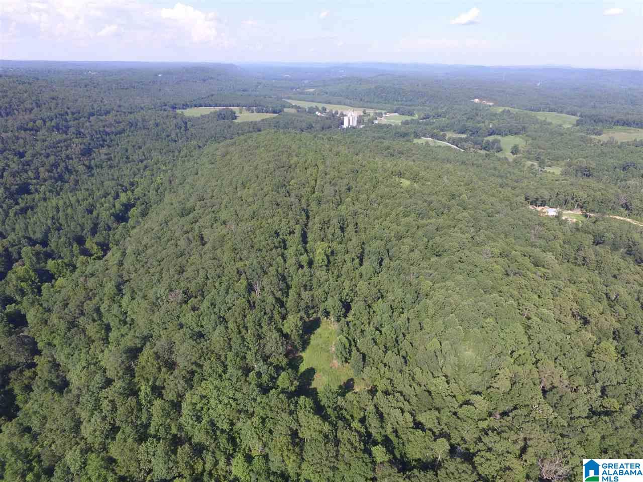 0 Carnes Chapel Road, Unit 113 Gallant, AL 35972 - Photo 21 of 32