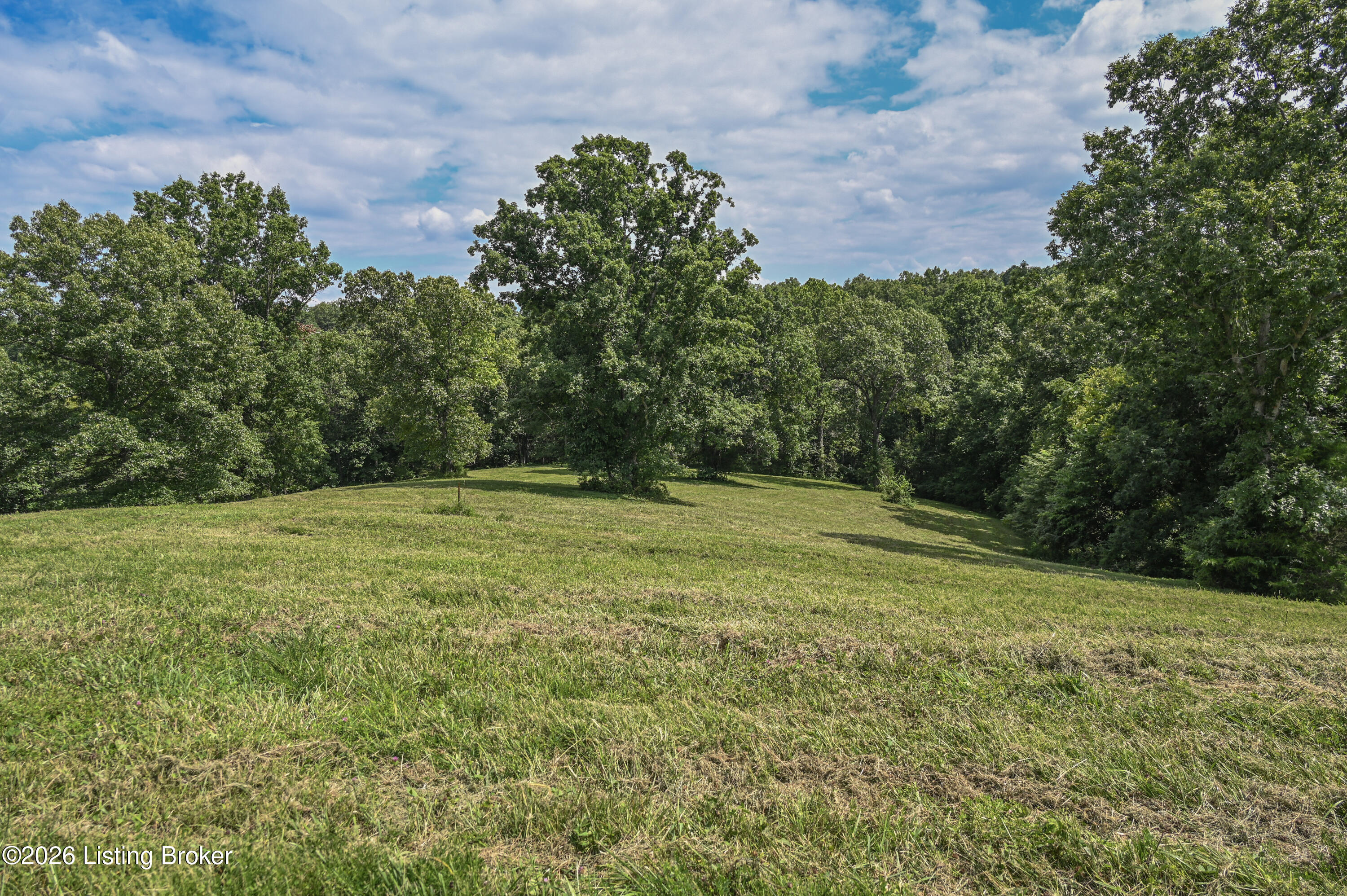 3977 Baker Ridge Road Mackville, KY 40040 - Photo 11 of 24 #9