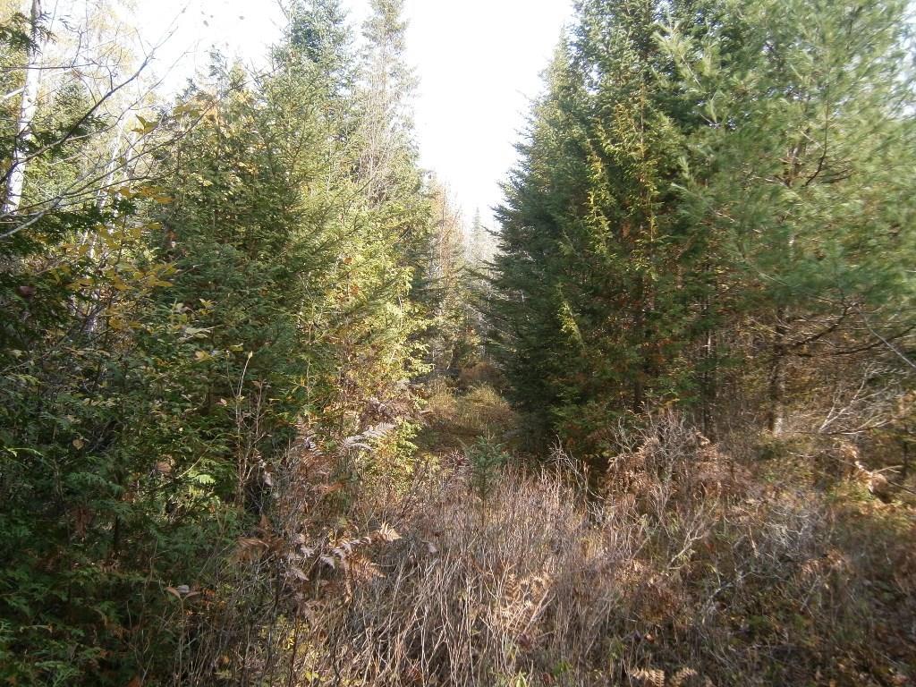 0 Roque Bluffs Road Jonesboro, ME 04648 - Photo 15 of 34 Land/lot