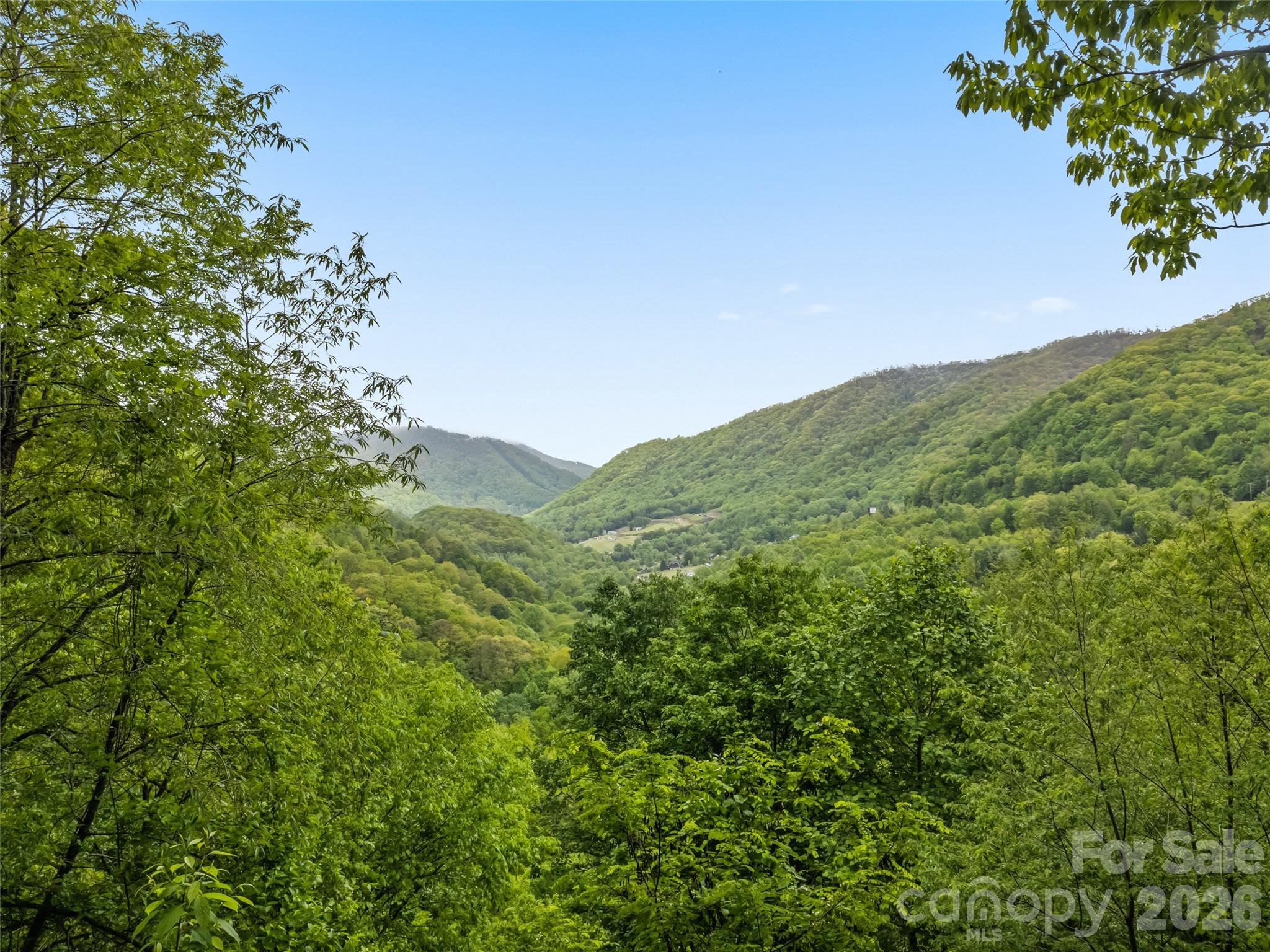 297 Hidden Cove Road Maggie Valley, NC 28751 - Photo 12 of 35