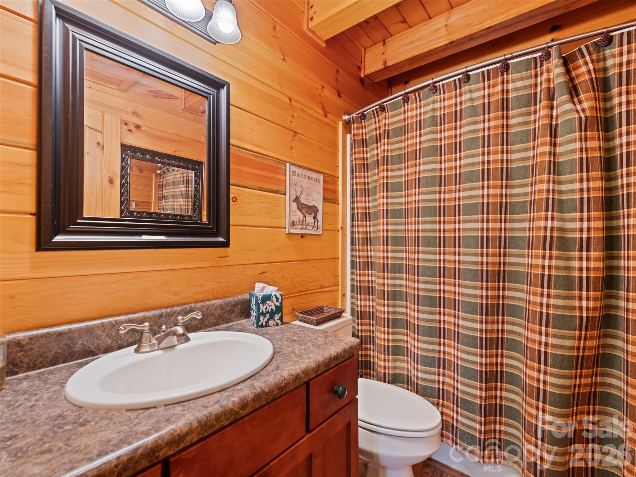 297 Hidden Cove Road Maggie Valley, NC 28751 - Photo 22 of 35