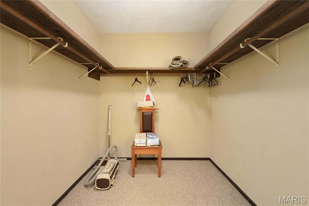 7043 Walsh Road Ellis Grove, IL 62241 - Photo 31 of 78 Gallery Image 31