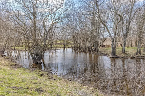 a backyard of a house with lots of green space