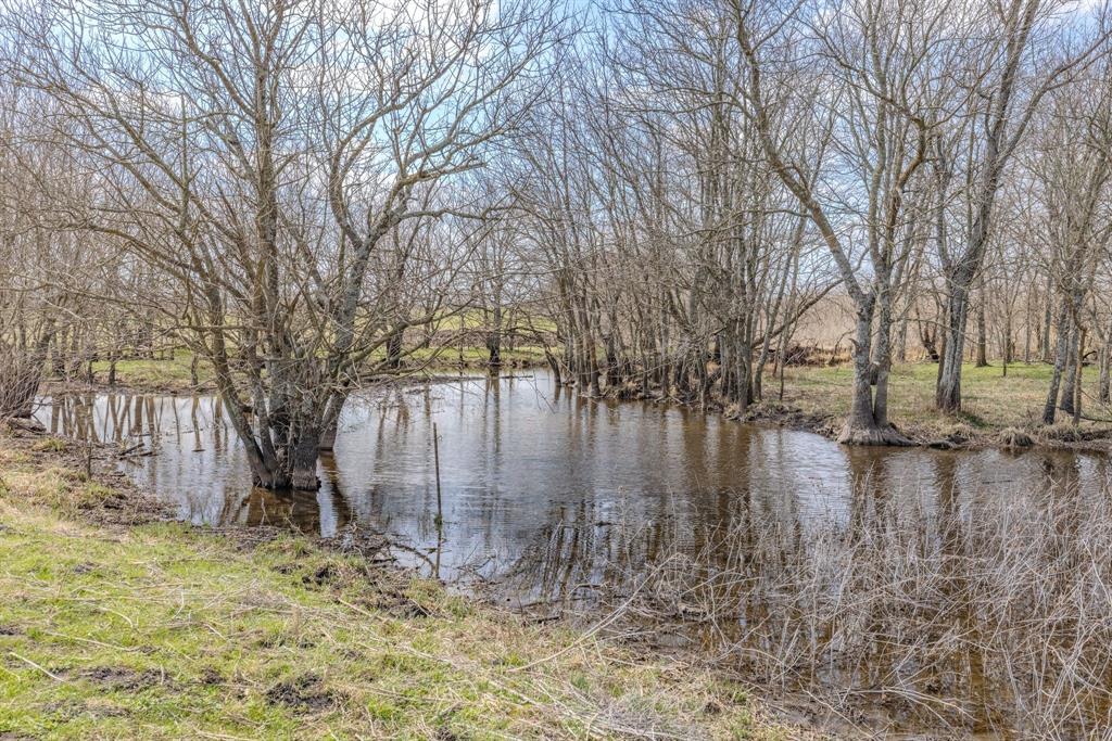 Tbd Sabine Creek Road Royse City, TX 75189 - Photo 6 of 40 a backyard of a house with lots of green space