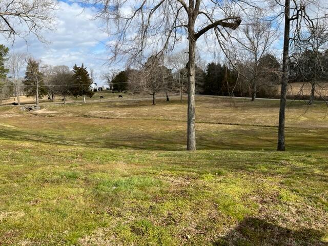 1868 Kay Conley Road Rock Spring, GA 30739 - Photo 8 of 45 IMG_4997